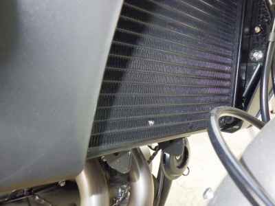 Harley-Davidson X350 2024