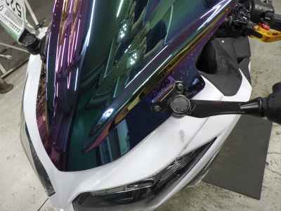 Kawasaki Ninja 250 2014