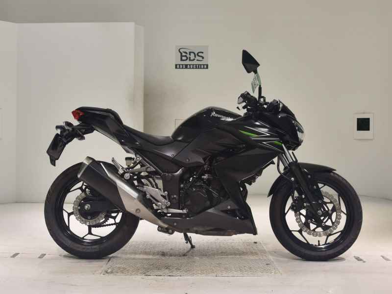 Kawasaki Z250 2013