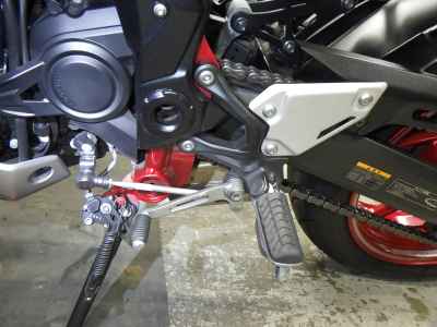 Kawasaki Z900 2023