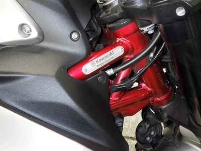 Kawasaki Z900 2023