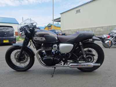 Kawasaki W800 2019