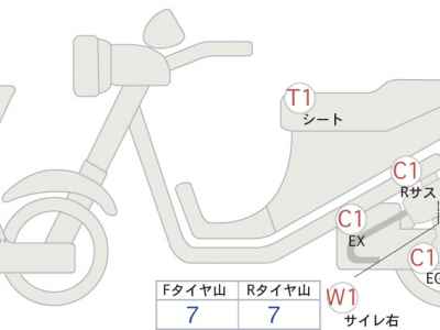 Kawasaki W800 2019