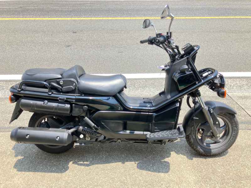 Honda PS250 Big Ruckus 2006