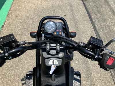 Honda PS250 Big Ruckus 2006
