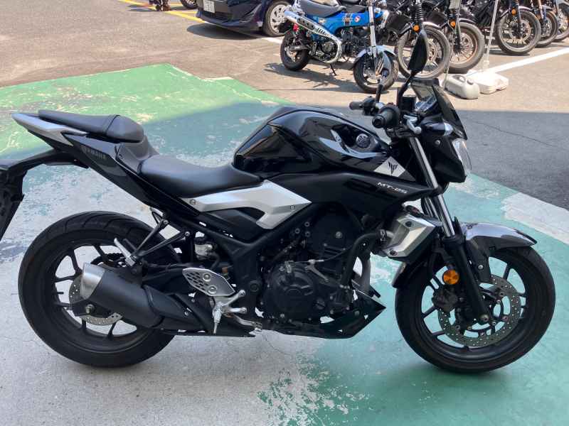 Yamaha MT-25 2016