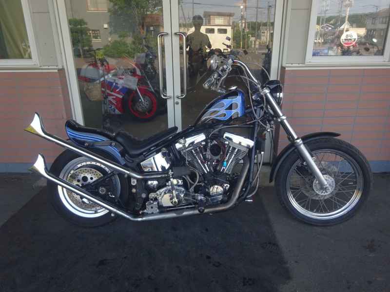 Harley-Davidson FLSTF 1994
