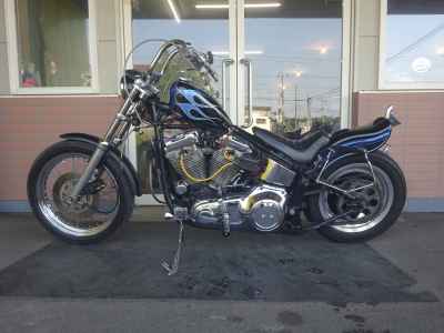 Harley-Davidson FLSTF 1994