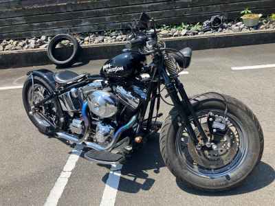 Harley-Davidson FLSTC 2004