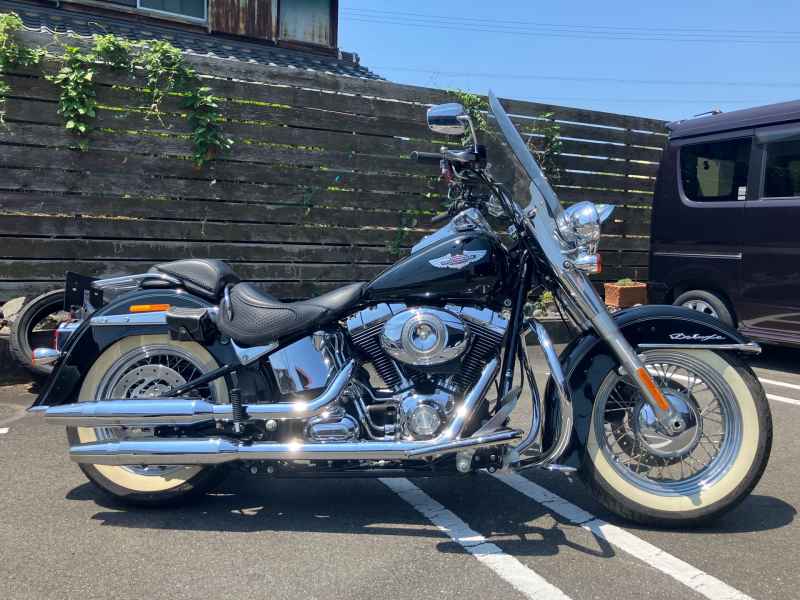 Harley-Davidson FLSTN 2010