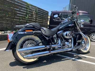 Harley-Davidson FLSTN 2010