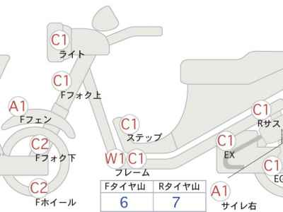 Harley-Davidson FLSTN 2010