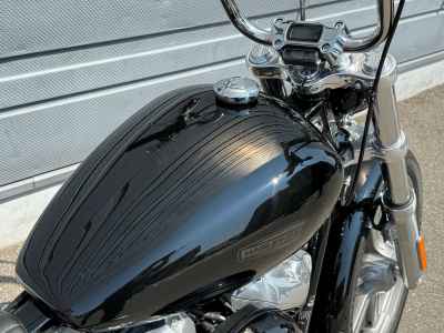 Harley-Davidson FXST 2022