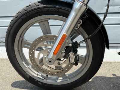Harley-Davidson FXST 2022