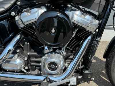 Harley-Davidson FXST 2022