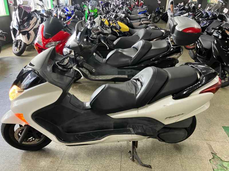Honda Forza X 2004