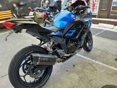 Kawasaki Ninja 250 Special Edition 2015