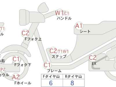Kawasaki Ninja 250 Special Edition 2015