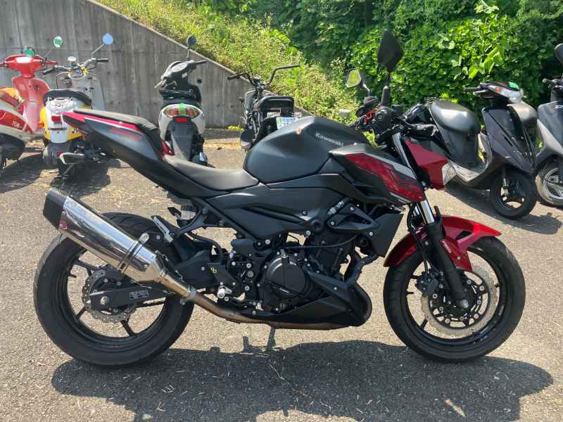 Kawasaki Z250 2019