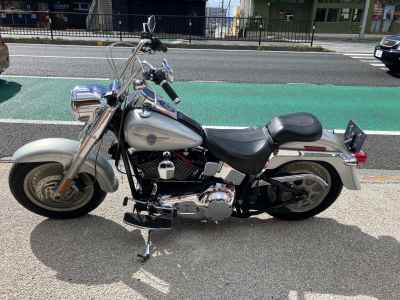 Harley-Davidson FLSTF 2004