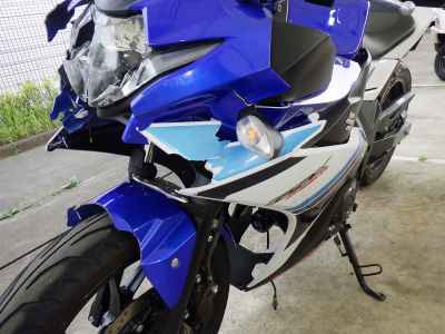 Suzuki GSX250R