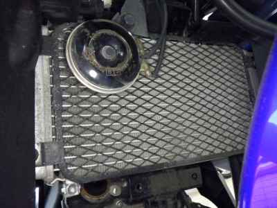 Suzuki GSX250R