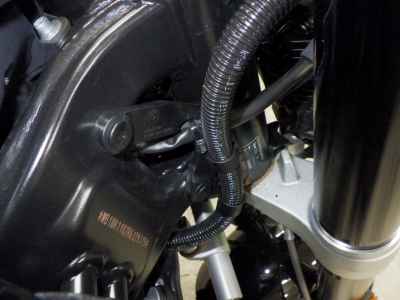 BMW F900R 2024
