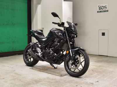 Yamaha MT-25