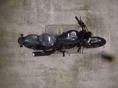 Honda Rebel CMX250 2025