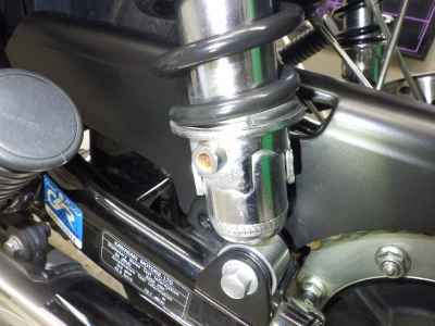 Kawasaki W800 2022