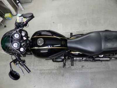 Kawasaki W800 2022