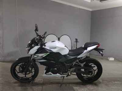 Kawasaki Z250 2014