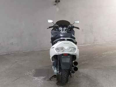 Honda Forza 2003