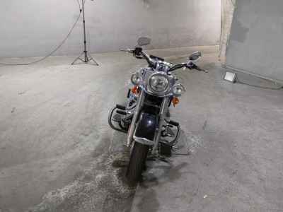 Harley-Davidson Deluxe FLSTN1580 2009