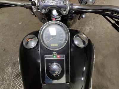 Harley-Davidson Deluxe FLSTN1580 2009
