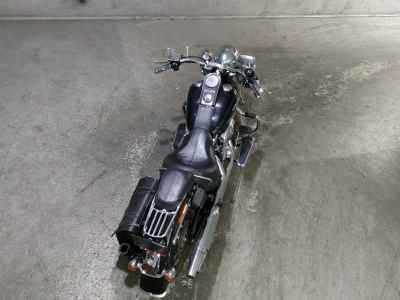 Harley-Davidson Deluxe FLSTN1580 2009
