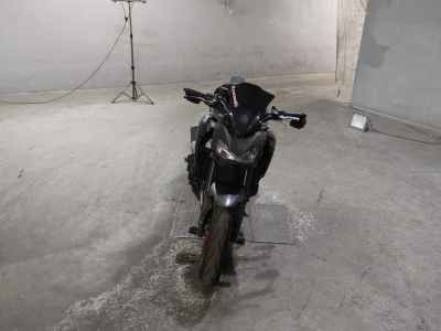 Kawasaki Z900 2019