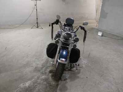 Harley-Davidson FLSTC1450 2001
