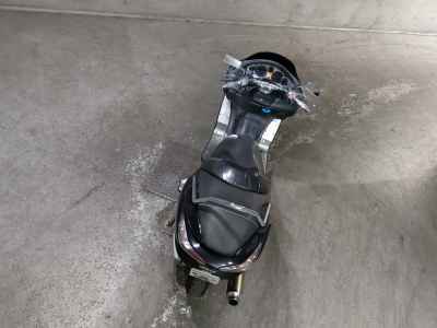Honda Forza Z 2006