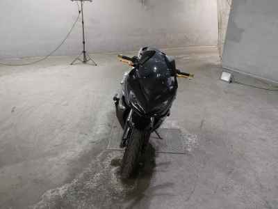 Kawasaki Ninja 1000 2017