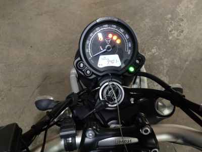 Triumph Scrambler 900 2013