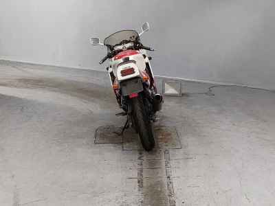 Yamaha FZR250R