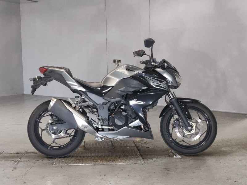 Kawasaki Z250 2015