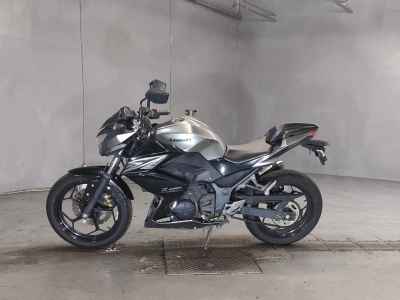 Kawasaki Z250 2015