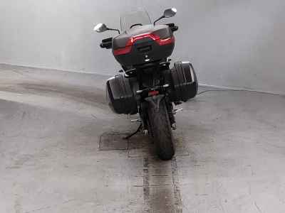 Triumph Tiger Sport 660 2024