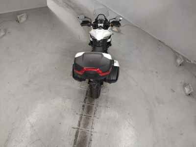 Triumph Tiger Sport 660 2024