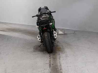 Kawasaki Ninja 1000 2019