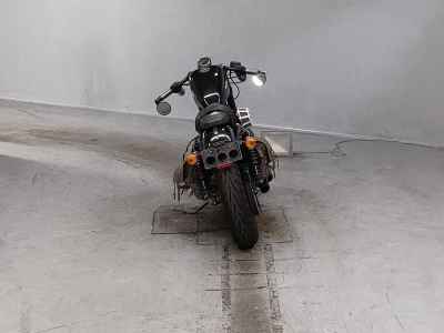 Harley-Davidson Roadster XL1200CX 2019