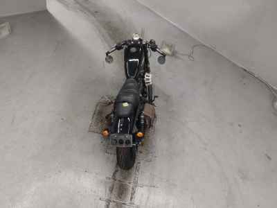 Harley-Davidson Roadster XL1200CX 2019