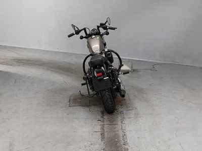 Harley-Davidson Sportster Forty-Eight XL1200X 2017